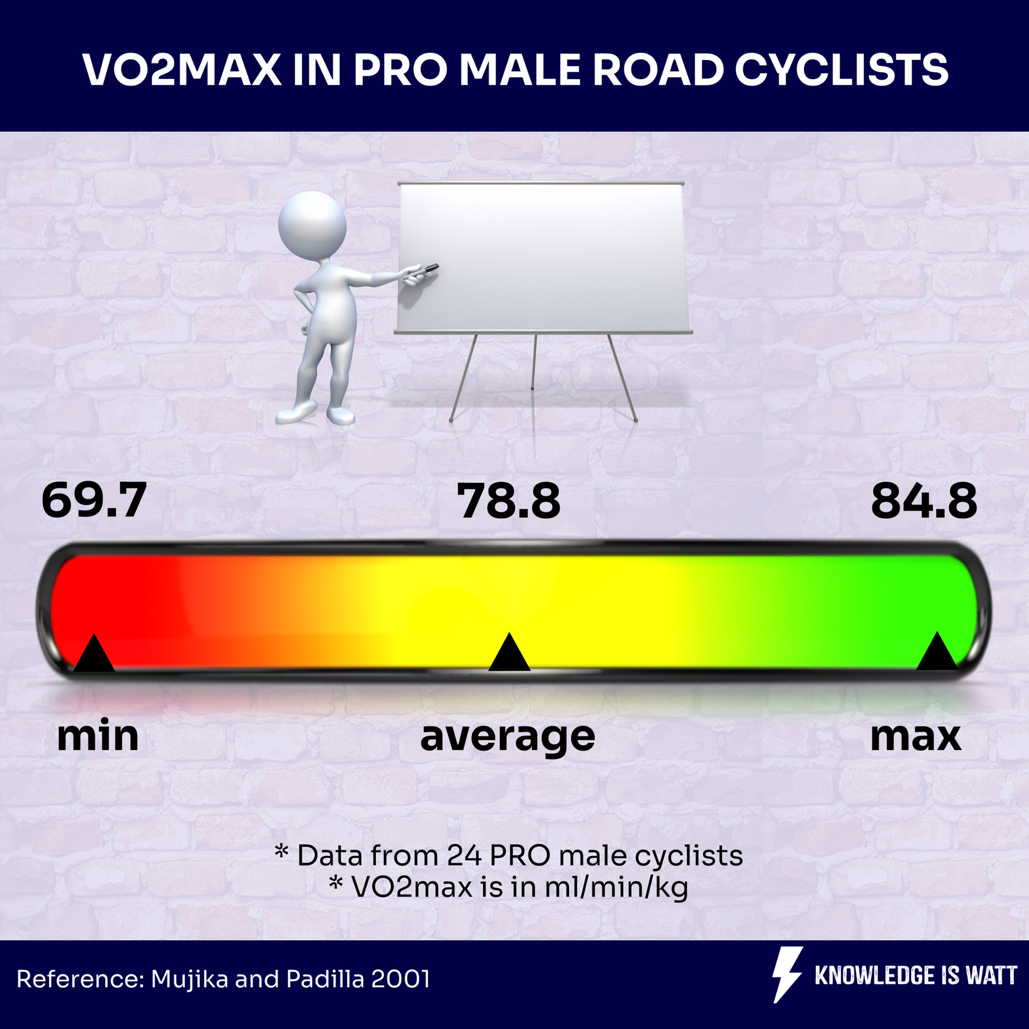 VO2 MAX IN PRO MALE ROAD CYCLISTS 0