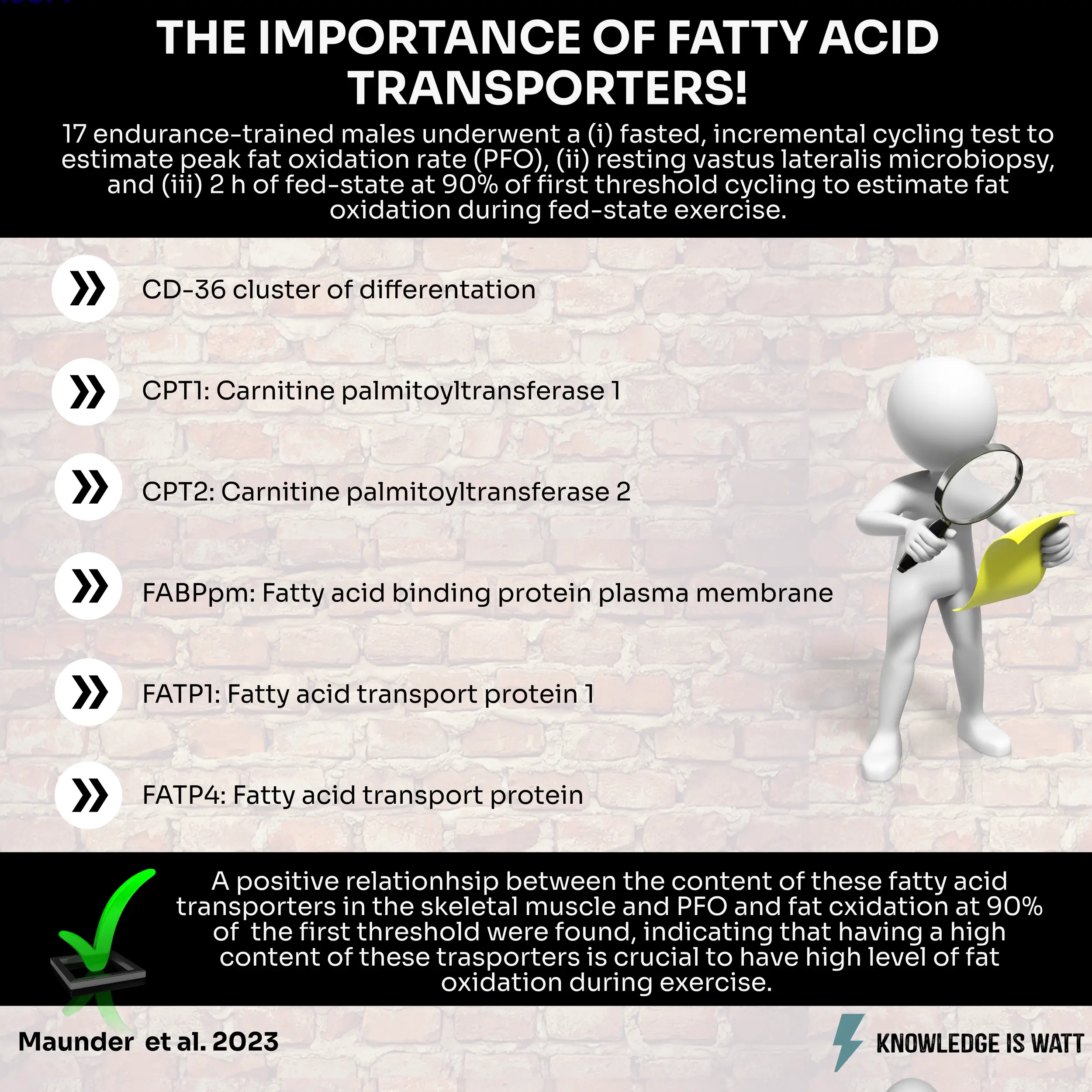 THE IMPORTANCE OF FATTY ACID TRANSPORTERS! 0