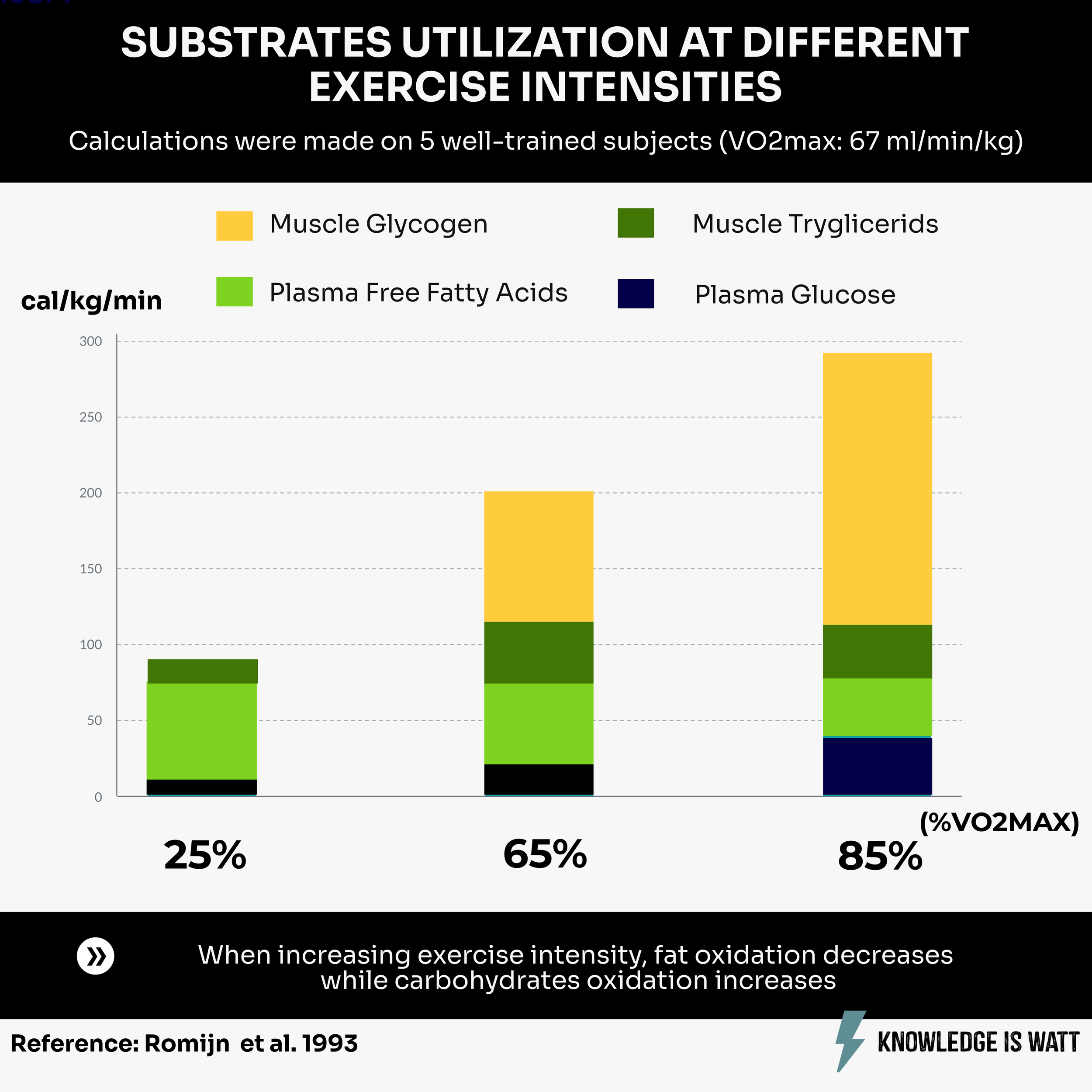 SUBSTRATES UTILIZATION AT DIFFERENT EXERCISE INTENSITIES 0
