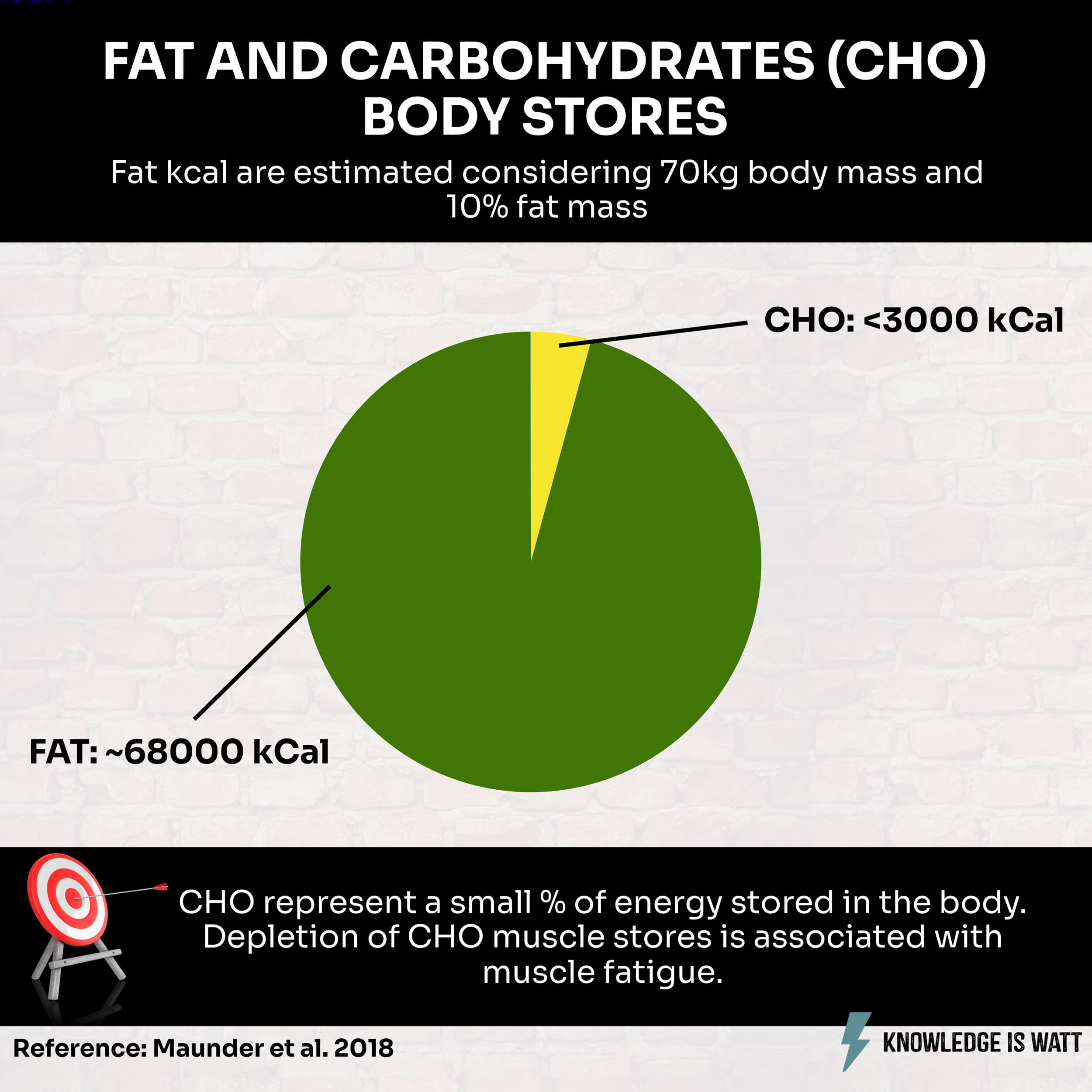 FAT AND CARBOHYDRATES BODY STORES 0