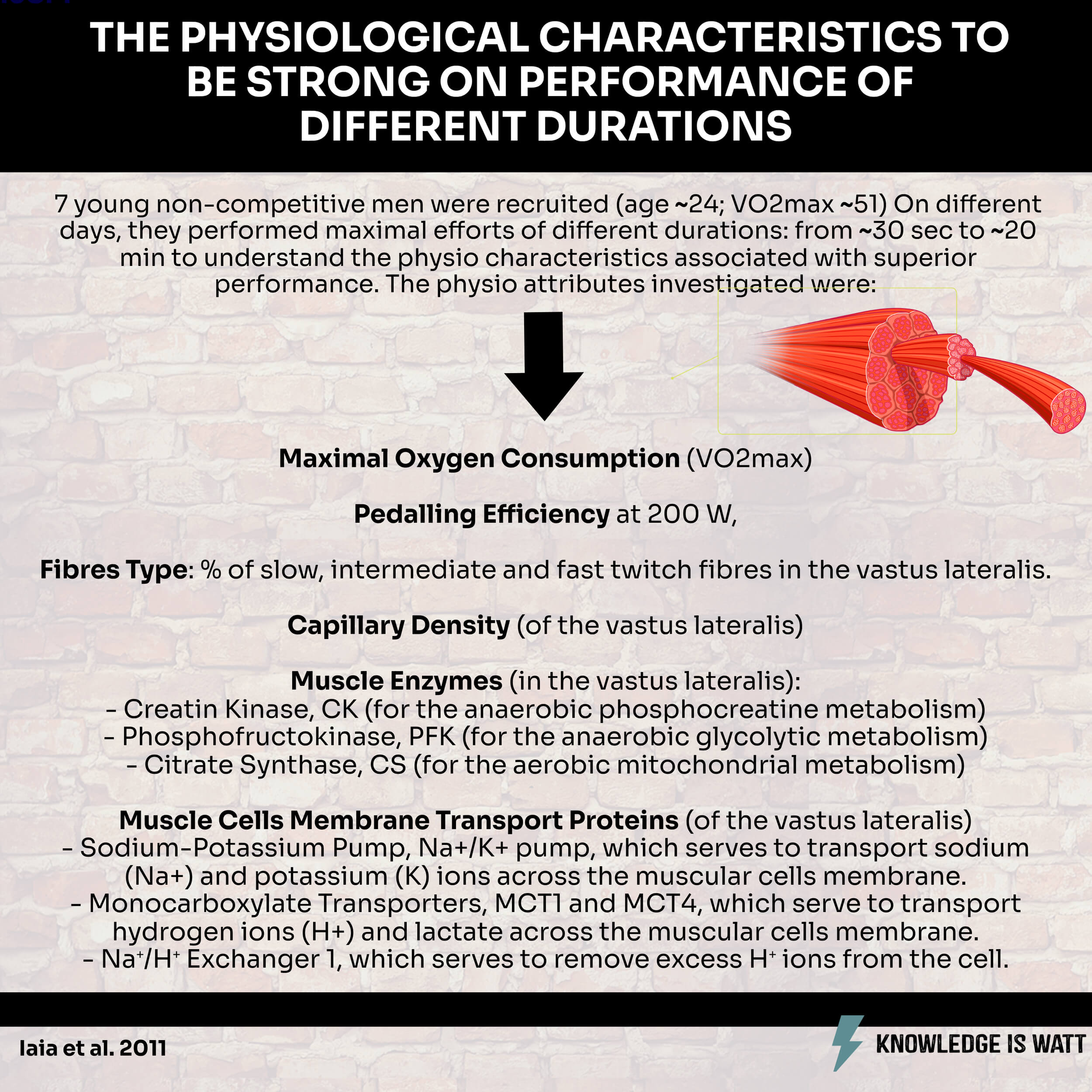 THE PHYSIOLOGICAL CHARACTERISTICS TO BE STRONG ON PERFORMANCE OF DIFFERENT DURATIONS 0
