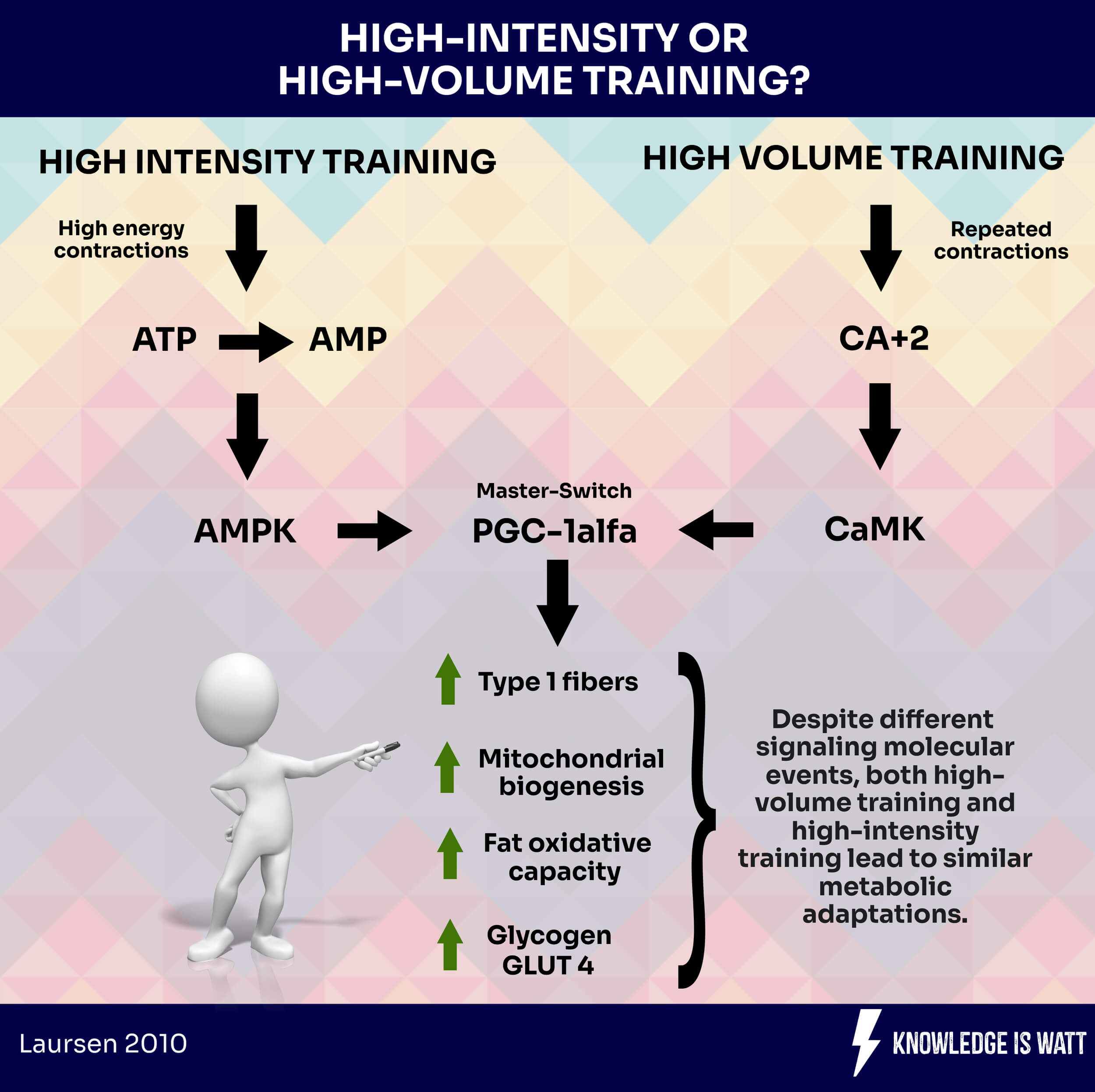 HIGH-INTENSITY OR HIGH-VOLUME TRAINING 0
