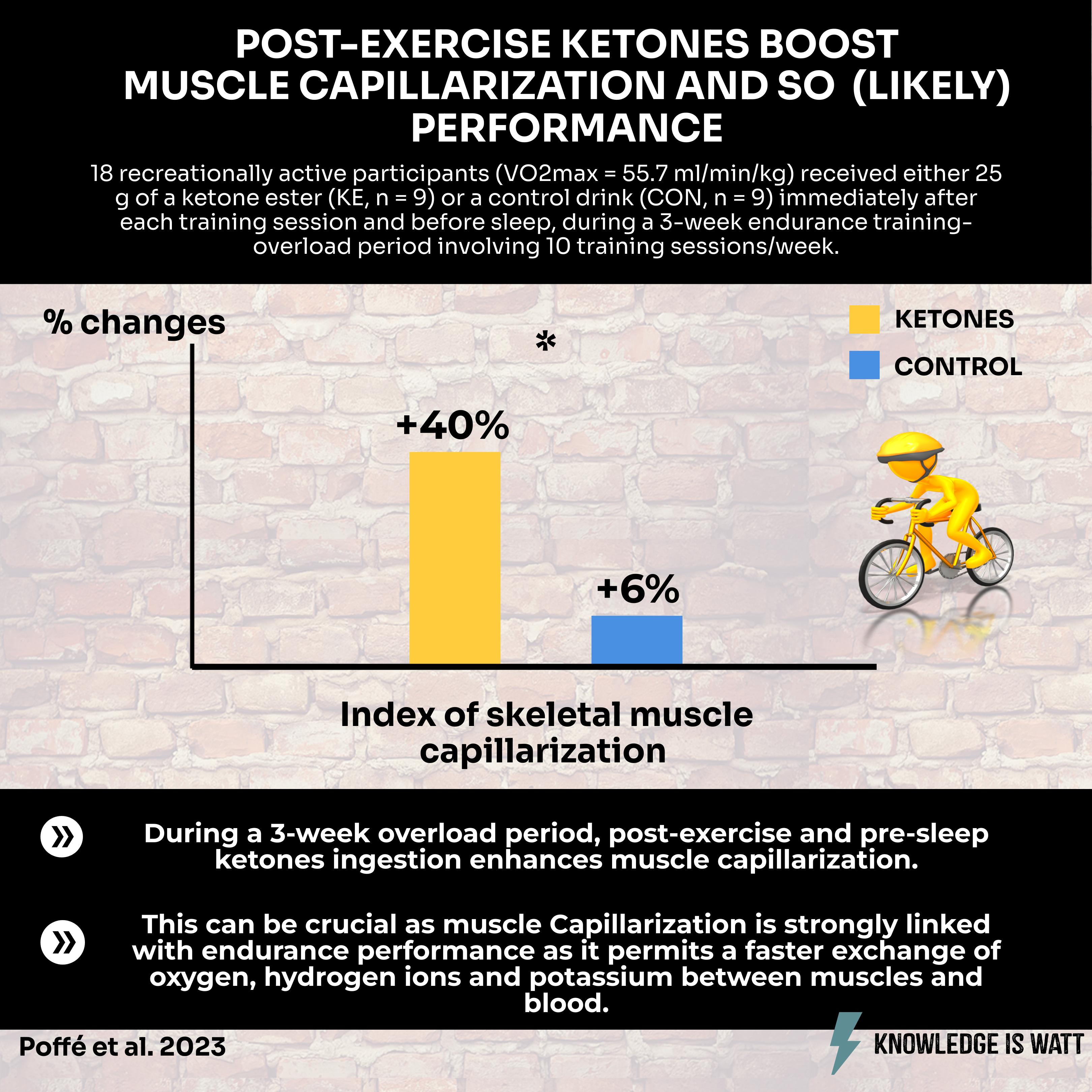 POST-EXERCISE KETONES BOOST MUSCLE CAPILLARIZATION AND SO (LIKELY) PERFORMANCE 0