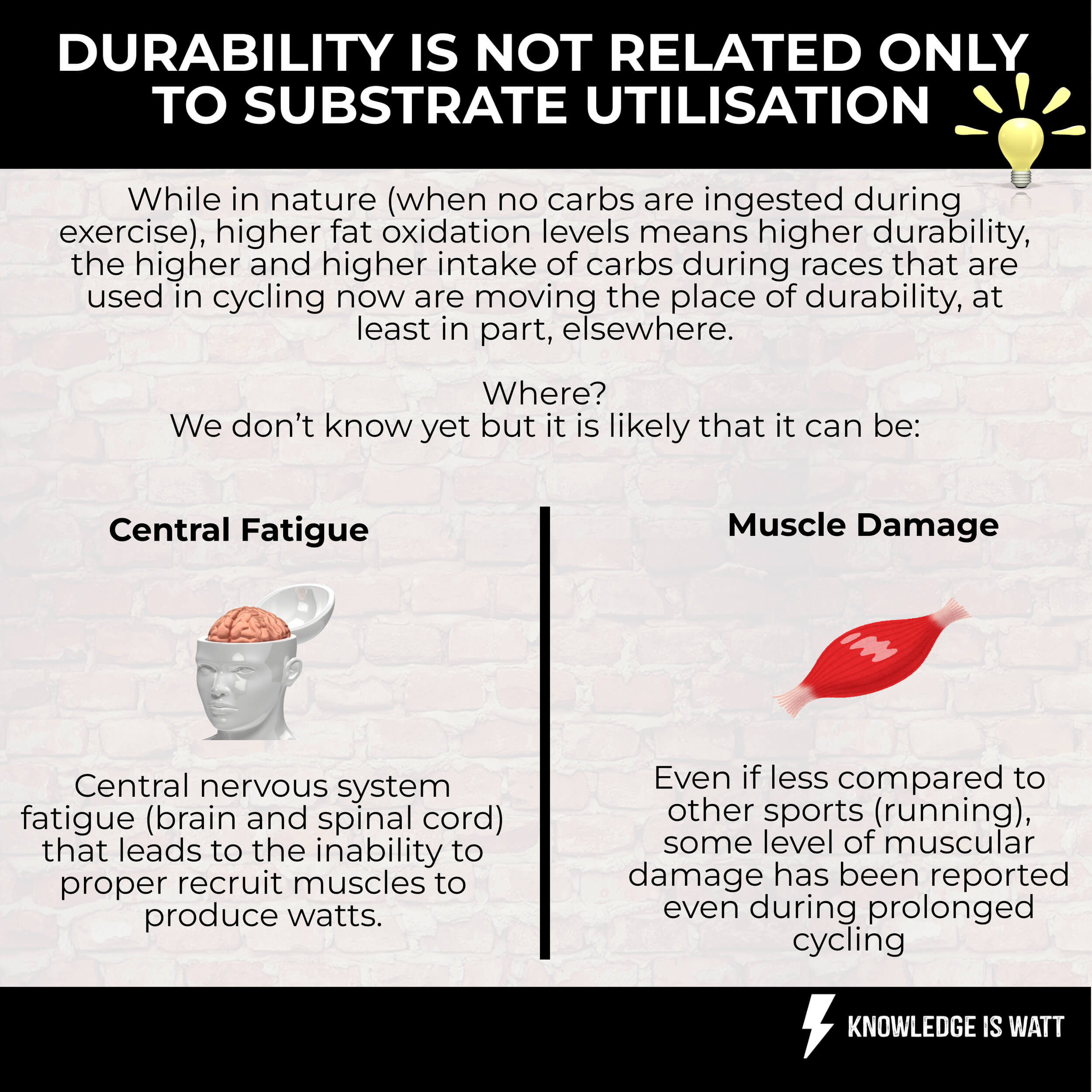 DURABILITY IS NOT RELATED ONLY TO SUBSTRATE UTILISATION 1
