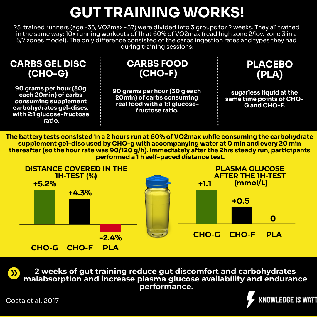 GUT TRAINING WORKS! 0